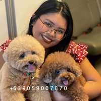 Filipina looking for Host Family in Europe